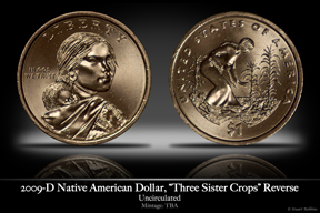 2009 Native American Dollar, 'Three Sister Crops' Reverse