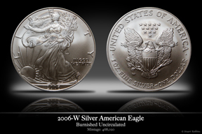 2006 20th Anniversary Burnished Business-Strike Silver American Eagle