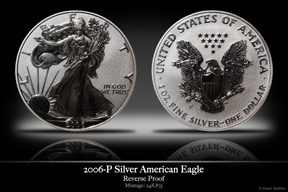 2006 20th Anniversary Reverse Proof Silver American Eagle
